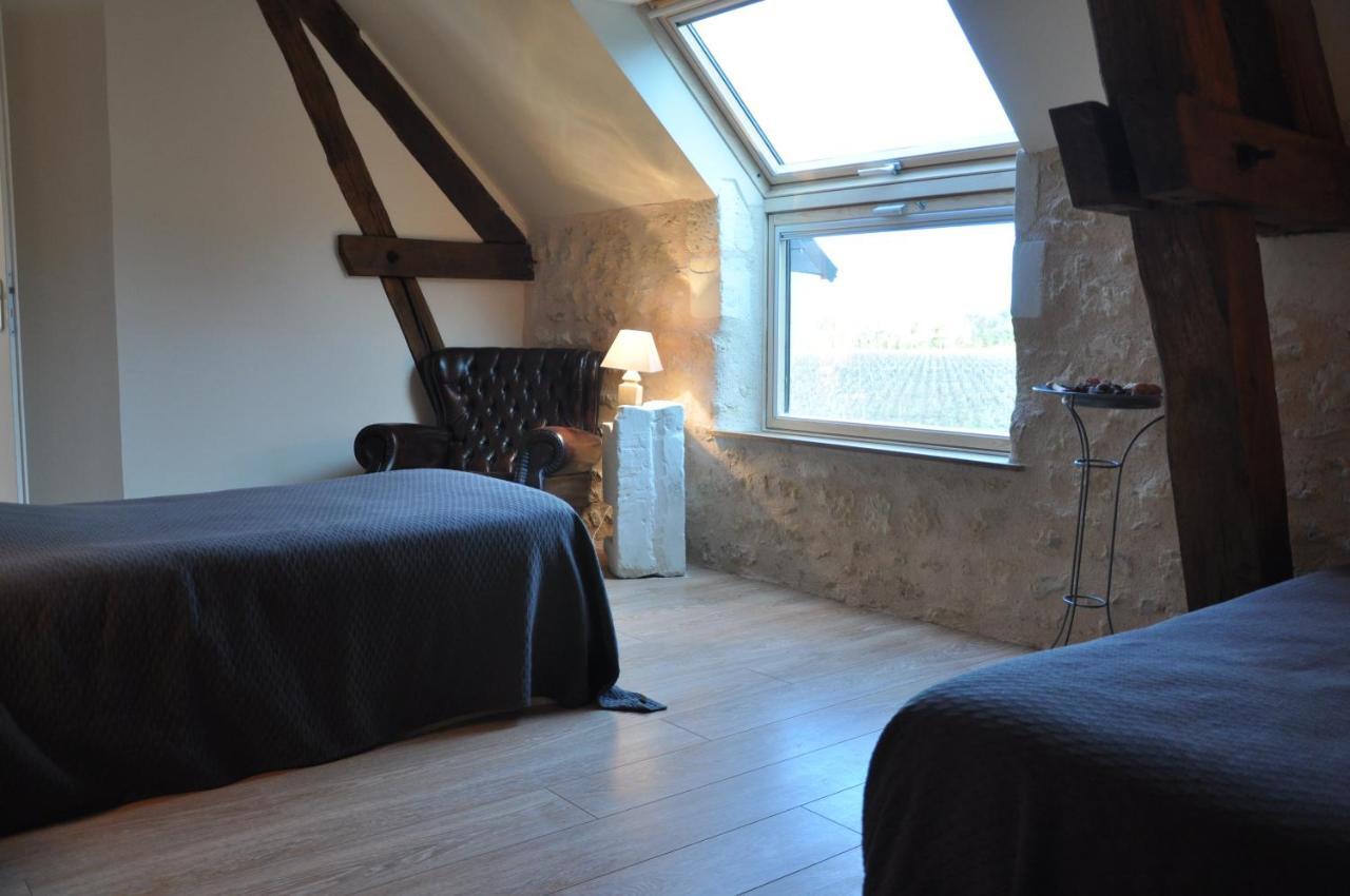 Les Pierres D'Aurele Chambres D'Hotes サン・ジョルジュ・シュル・シェール 部屋 写真